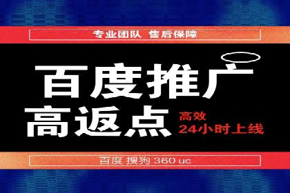 某企业通过SEM实现品牌与销售双增长的案例