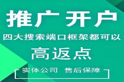 真实案例解析：SEM代运营托管公司的优势与挑战